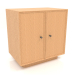 modèle 3D Cabinet TM 15 (602х406х622, placage bois acajou) - preview