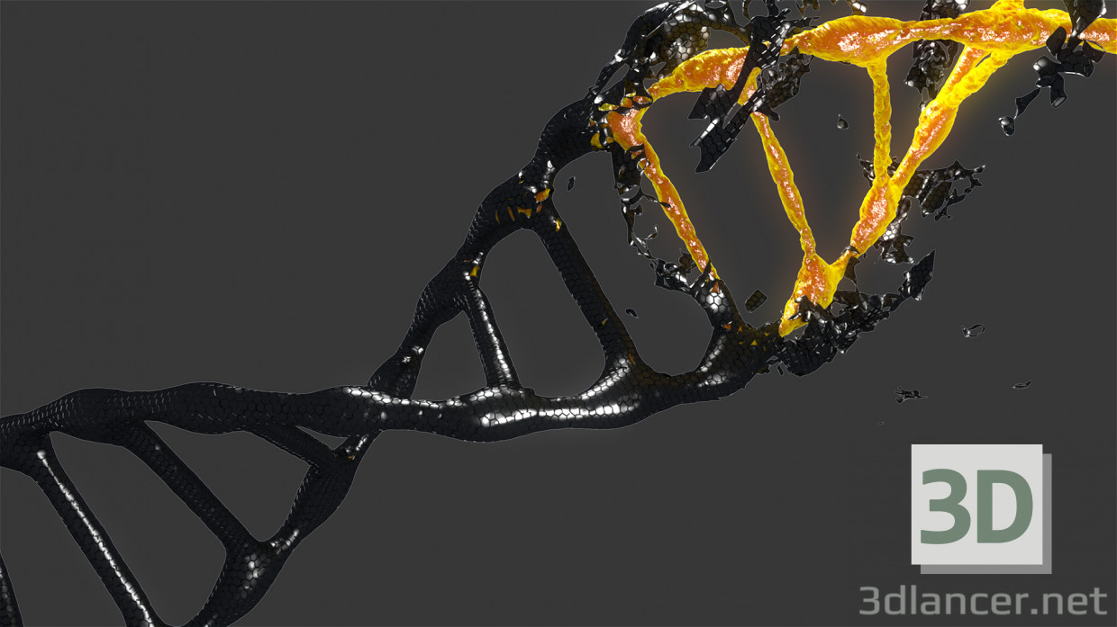 3d DNK модель купить - ракурс