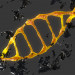 modello 3D di DNK comprare - rendering