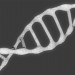 DNK 3D modelo Compro - render