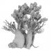 Modelo de pino - BristleconePine 3D modelo Compro - render
