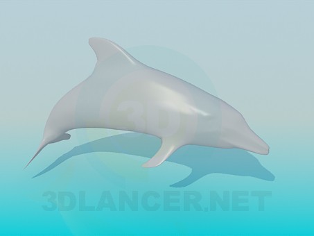 3D Modell Delphin - Vorschau