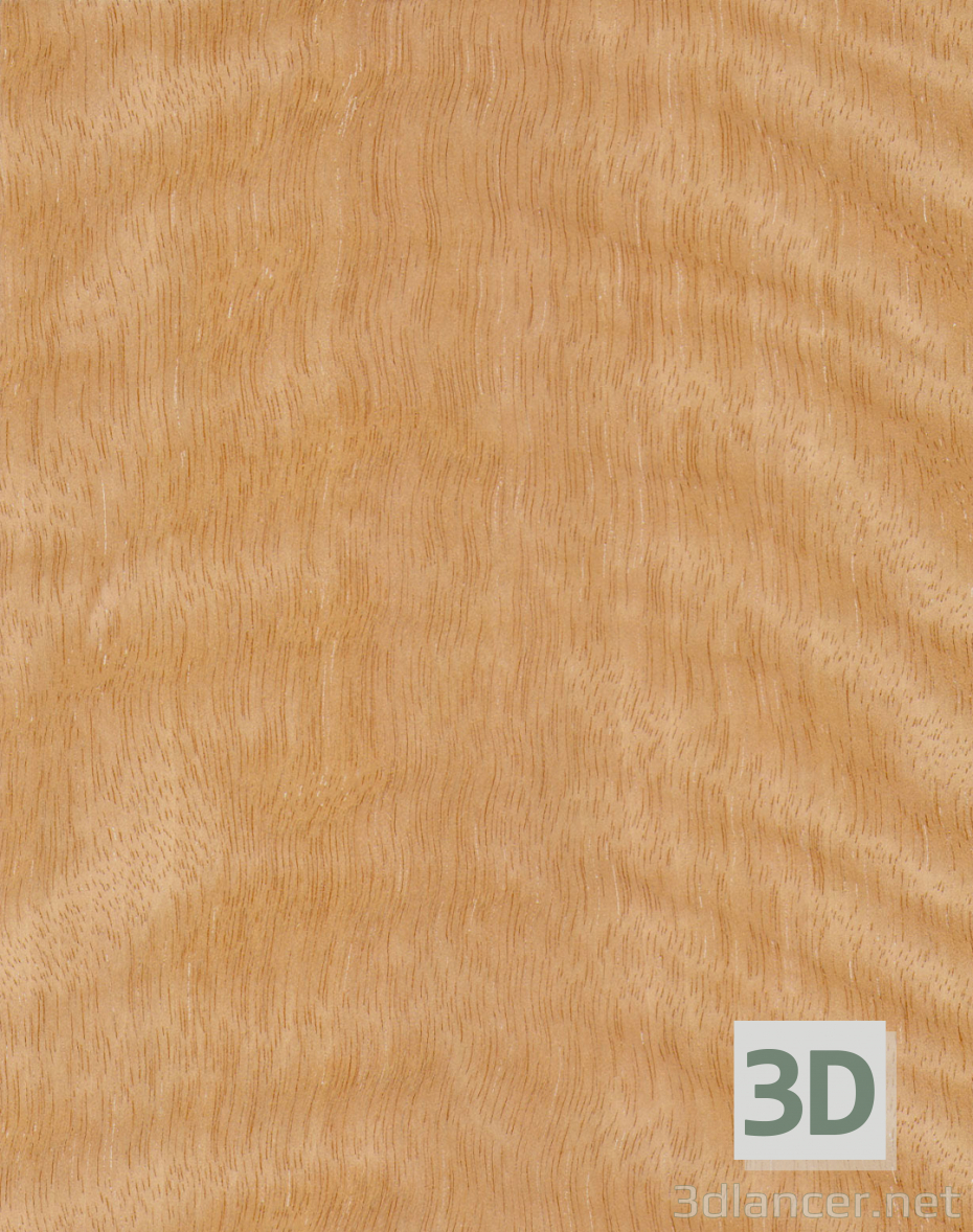 Texture african cedar free download - image