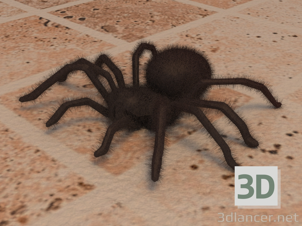 3d модель Павук – превью