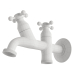 3d Faucet with two outlets for laundries and balconies model buy - render