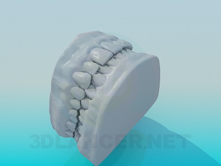 3d model Modelo de dientes humanos - vista previa