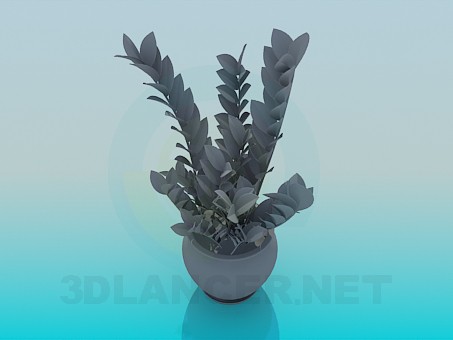 3D modeli Çiçek ile pota - önizleme