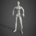 modèle 3D le corps - preview