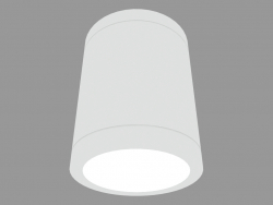 Ceiling lamp MEGASLOT DOWNLIGHT (S3929 150W_HIT_8)