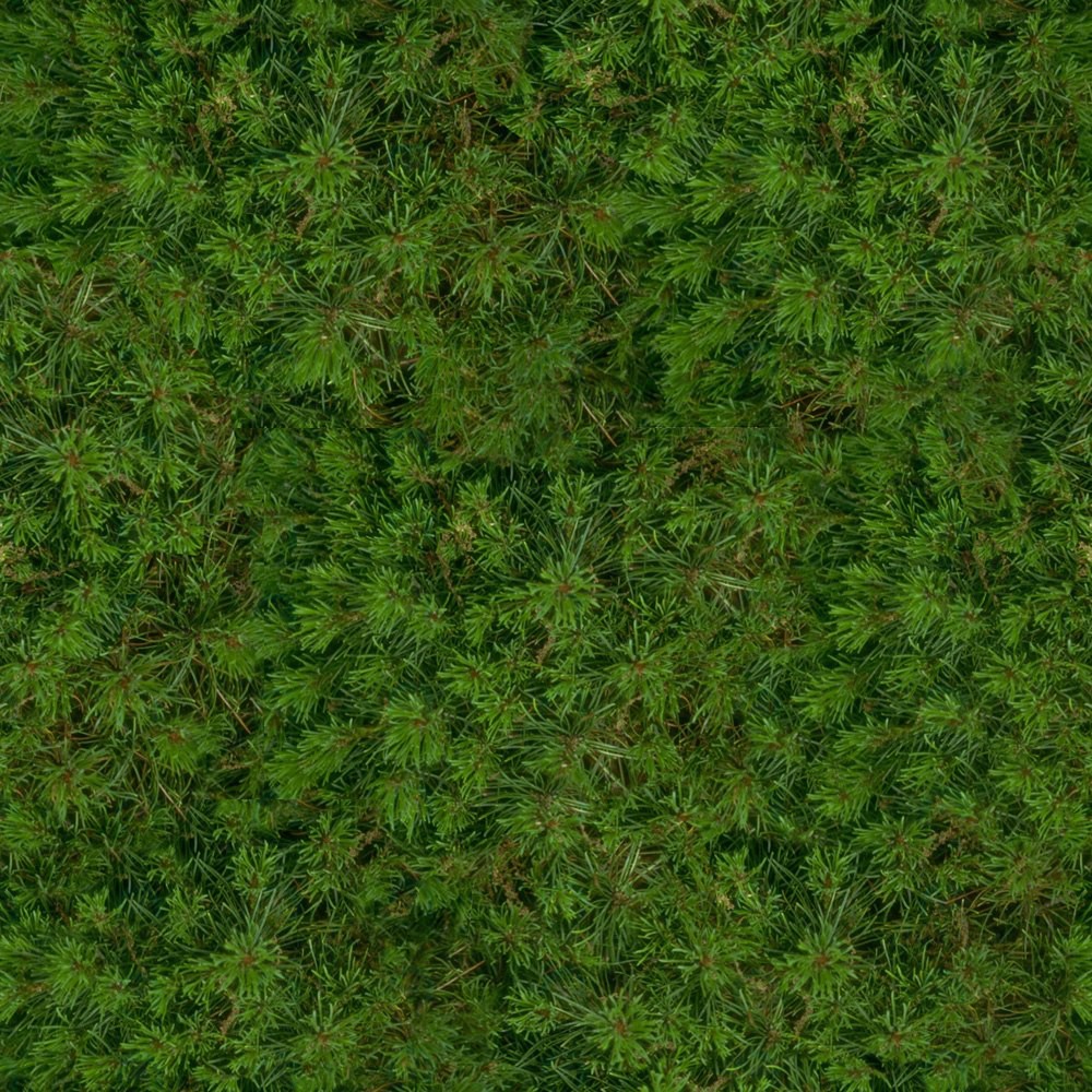 Texture Seamless texture of grass free download - image