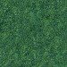 Descarga gratuita de textura hierba cesped - imagen