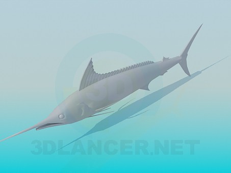modello 3D Marlin - anteprima