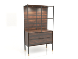 Vitrin, abanoz kaplama, siyah mat lake, pirinç, arka aydınlatma (94,1x45x160,5 cm)