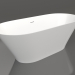 3d model bañera MONA 170 - vista previa
