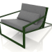 3d модель Уникальное клубное кресло (Bottle green) – превью