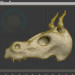 3D modeli Kafatası ejderha - önizleme