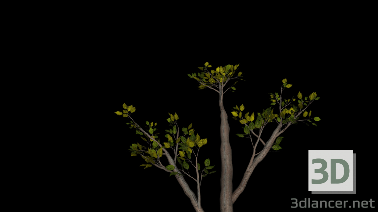 3d A branch of high quality! model buy - render