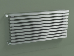 Horizontal radiator RETTA (10 sections 1000 mm 60x30, technolac)