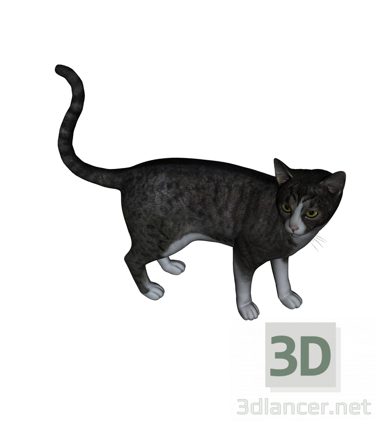 3 डी मॉडल बिल्ली बार्सिक - पूर्वावलोकन