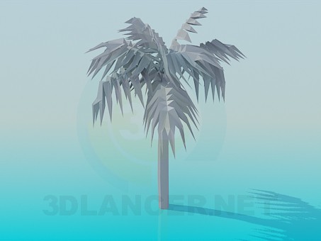 3d model Palma - vista previa