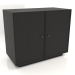3d model Cabinet TM 15 (1001х505х834, wood black) - preview