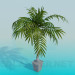 modèle 3D Palma dans un pot de fleurs - preview