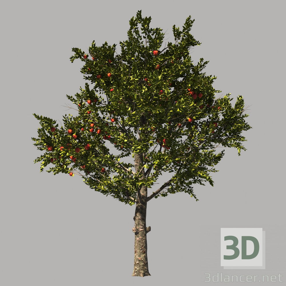 Apple_AppleTree 3D modelo Compro - render