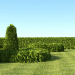 3d Живые изгороди из туи, для быстрого озеленения модель купить - ракурс