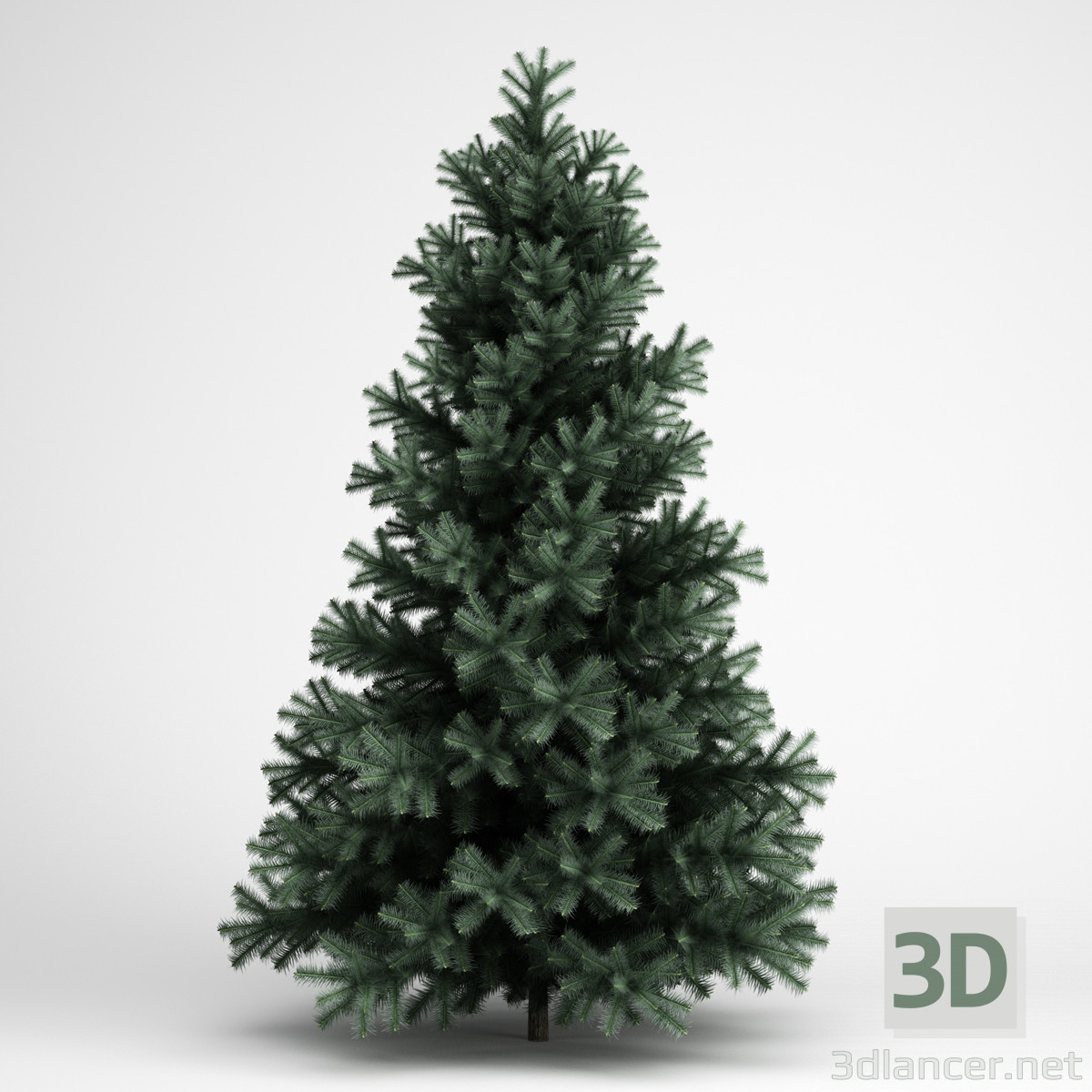 3d model Picea - vista previa