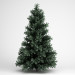 3d model Spruce - preview