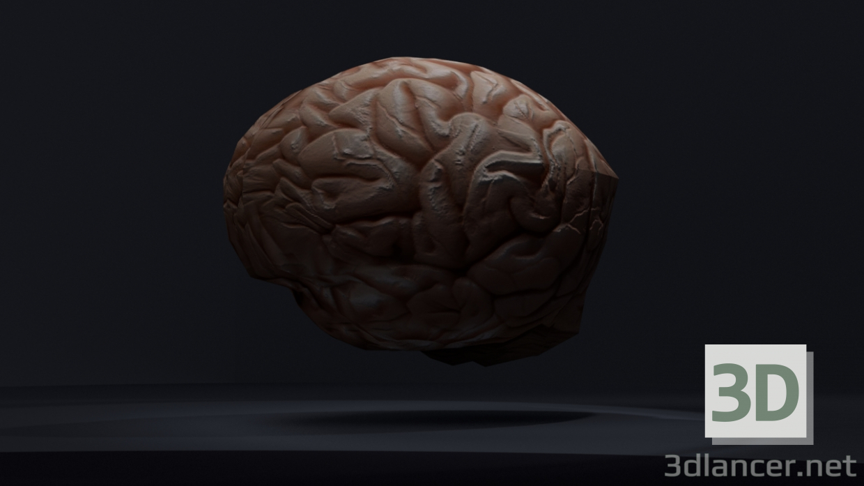 Cerebro bajo-poly 3D modelo Compro - render