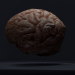 3d Low-poly Brain model buy - render