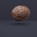 Low-Poly-Gehirn 3D-Modell kaufen - Rendern