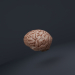 3d Low-poly Brain модель купити - зображення