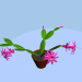 Zygocactus floreciente 3D modelo Compro - render