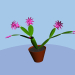 3D Çiçek açan zygocactus modeli satın - render