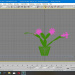 modello 3D di Zygocactus in fiore comprare - rendering