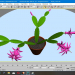 Zygocactus floreciente 3D modelo Compro - render