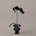3D Orkide modeli satın - render