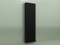 Radiateur TESI 5 (H 2200 15EL, Noir - RAL 9005)