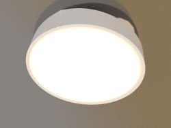 Luminária de teto (6164)
