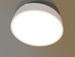 Потолочный светильник (6166)