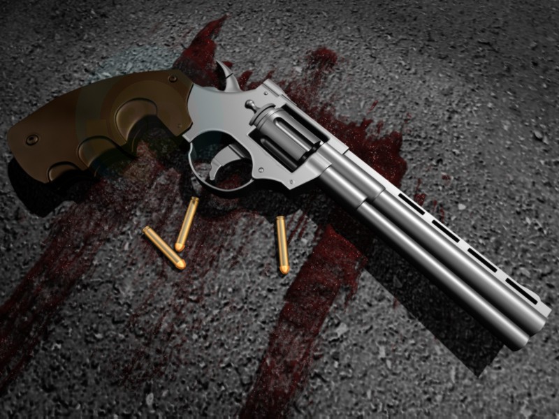 modèle 3D Revolver - preview