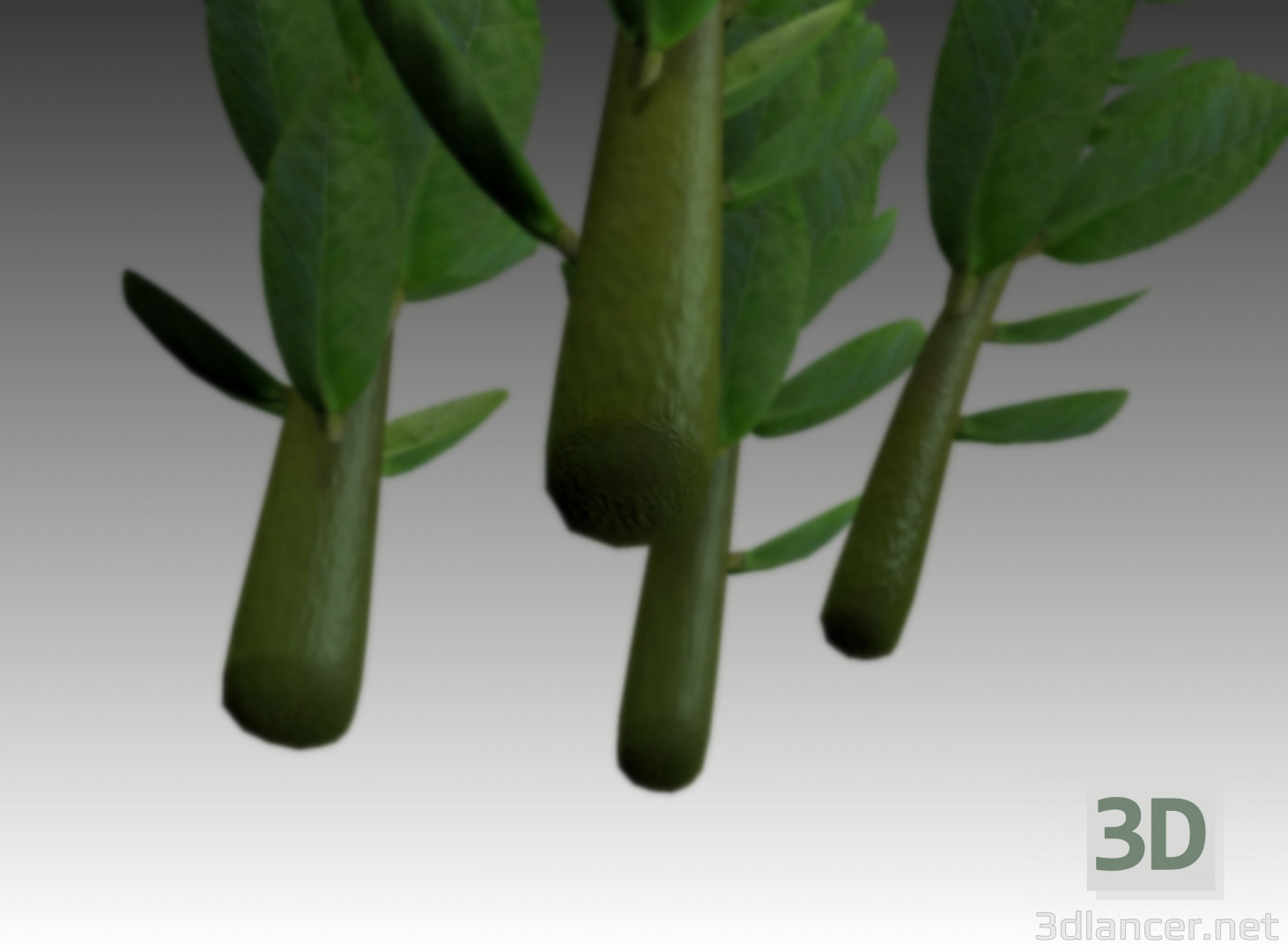 3d сфальсифицированное, анимированное комнатное растение в блендере модель купить - ракурс
