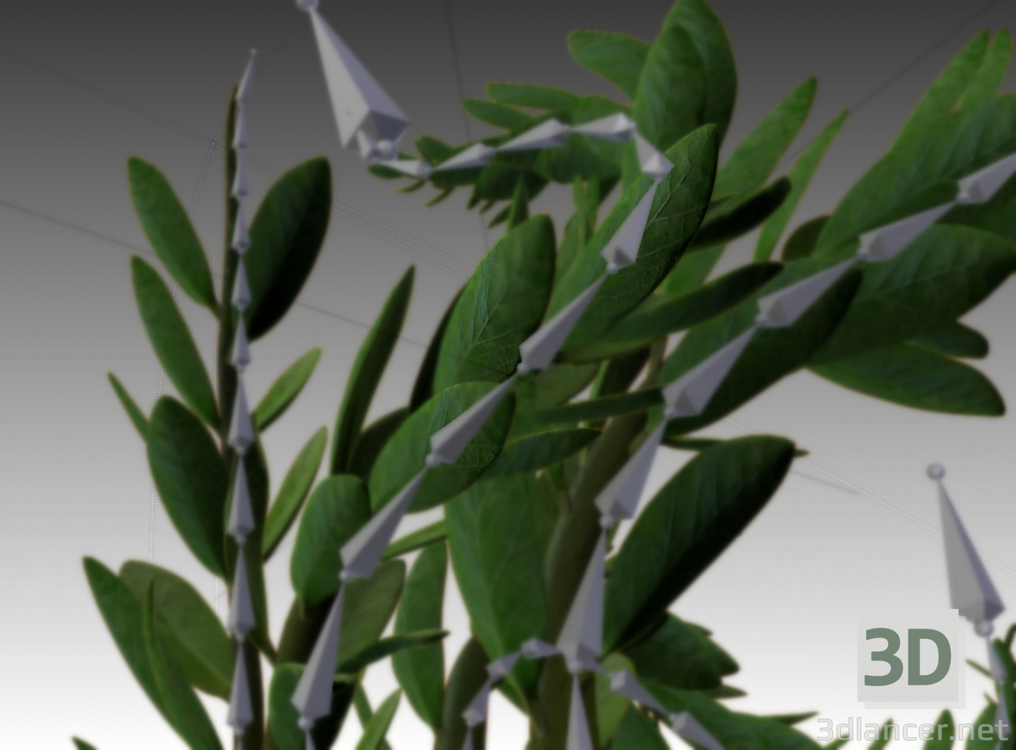 3d оснащена, анімована кімнатна рослина в блендері модель купити - зображення
