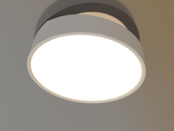Lámpara de techo (6169)