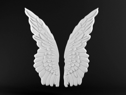 Wall decoration Wings