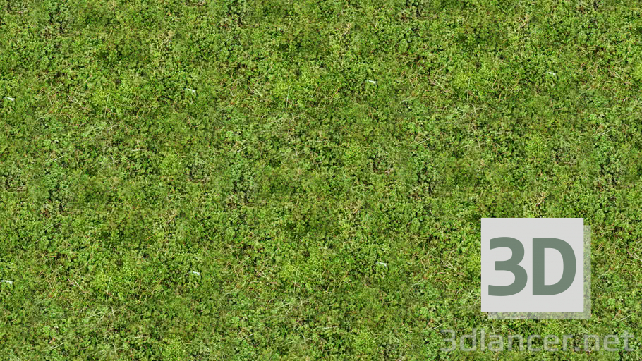 Descarga gratuita de textura Textura de hierba - imagen