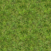 Texture Grass Texture free download - image