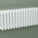 modèle 3D Radiateur tubulaire PILON (S4H 4 H302 15EL, blanc) - preview